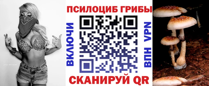 Псилоцибиновые грибы GOLDEN TEACHER  купить  сайты  Липки 